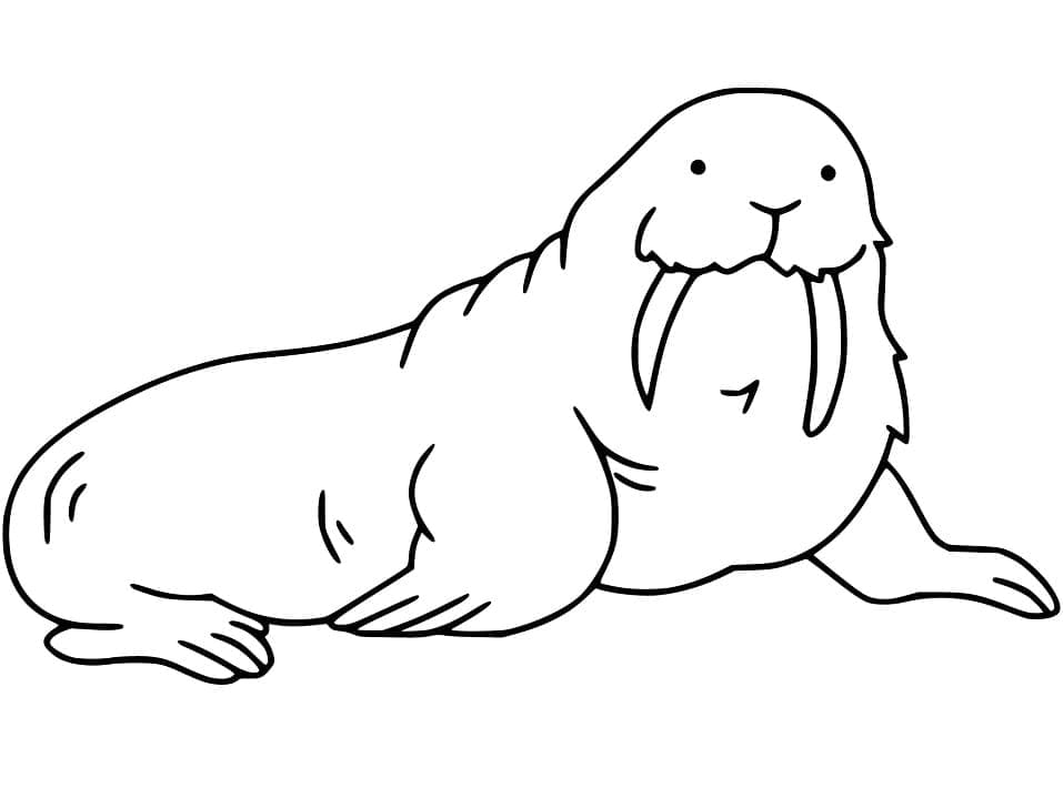 Walrus free printable coloring page