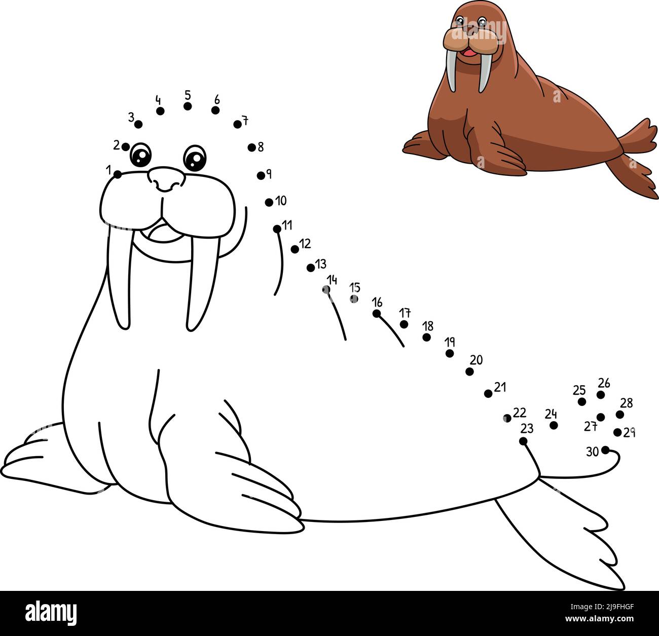 Dot to dot walrus coloring page for kids stock vector image art