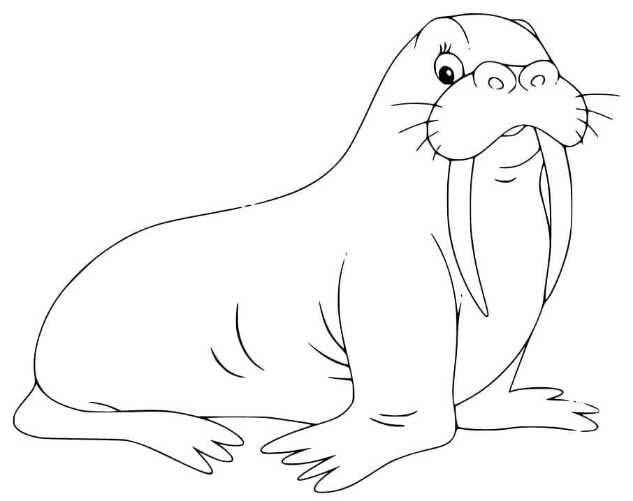 Cute walrus printable coloring page