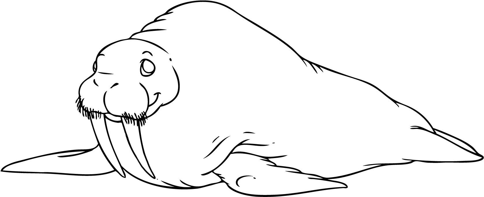 Free printable walrus coloring pages for kids