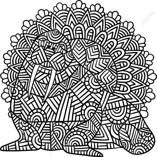 Walrus mandala coloring pages for adults coloring page adult black vector coloring page adult black png and vector with transparent background for free download