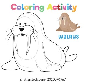 Walrus coloring images stock photos d objects vectors