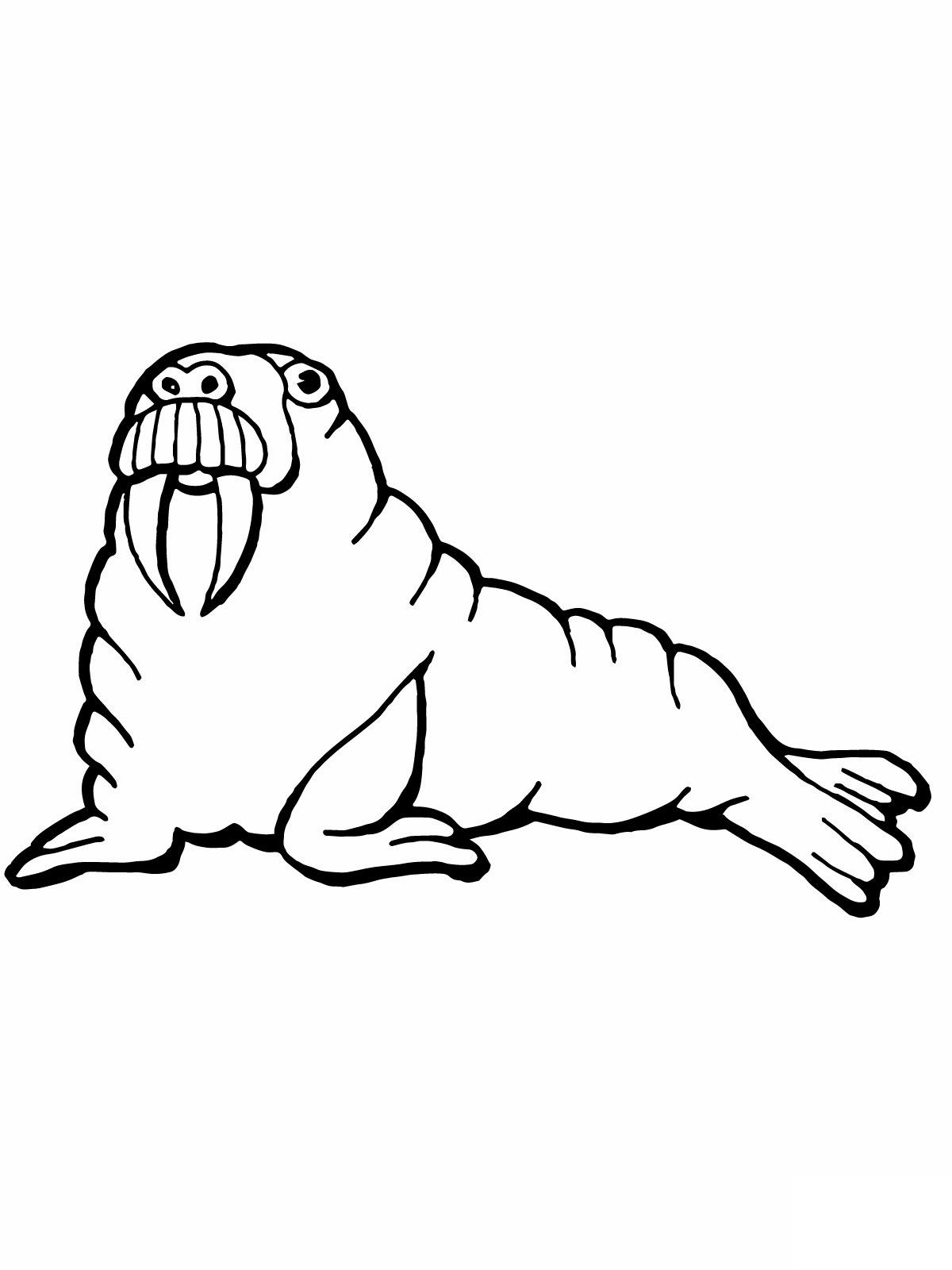 Free printable walrus coloring pages for kids