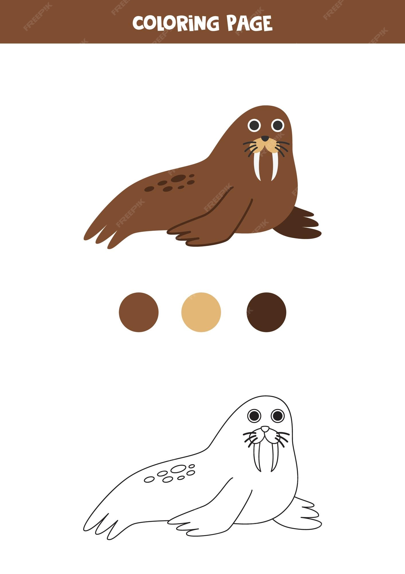 Premium vector color cute cartoon walrus worksheet for kids