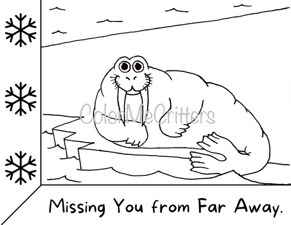 Printable hand drawn walrus missing you kids coloring page