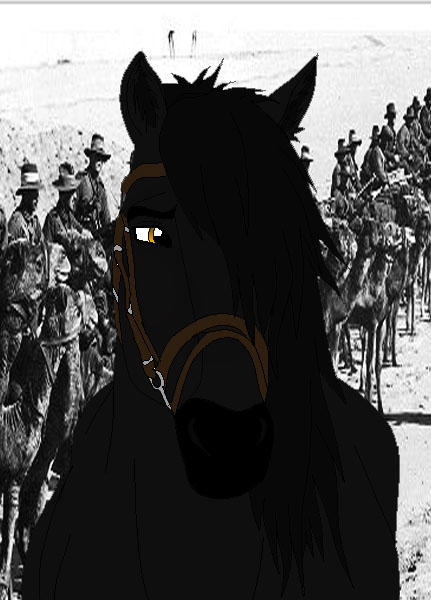 Download Free 100 + war horse joey and topthorn Wallpapers