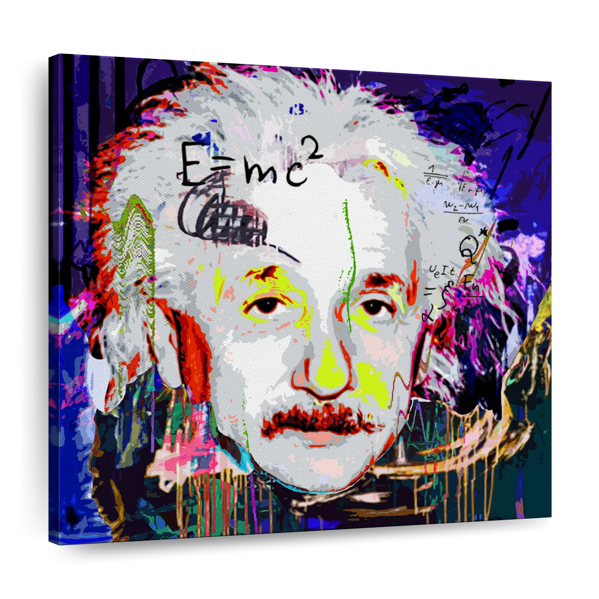 Genius einstein art canvas prints frames posters