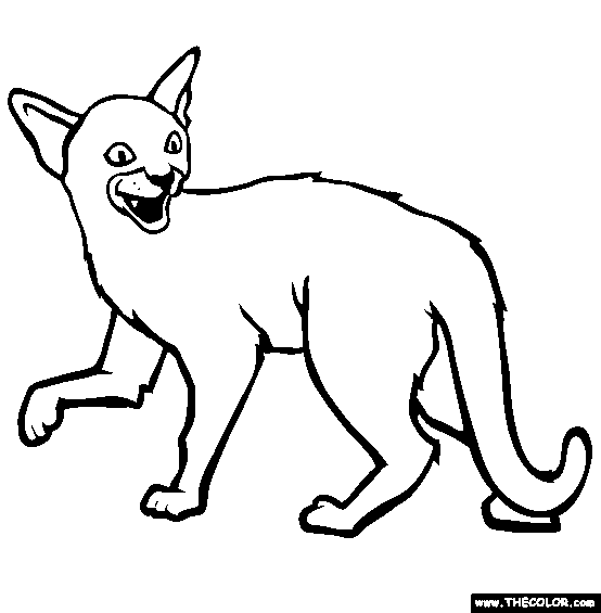 Cats online coloring pages