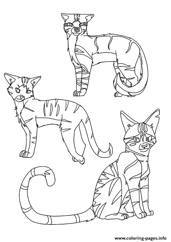 A warrior cat clan a coloring page printable
