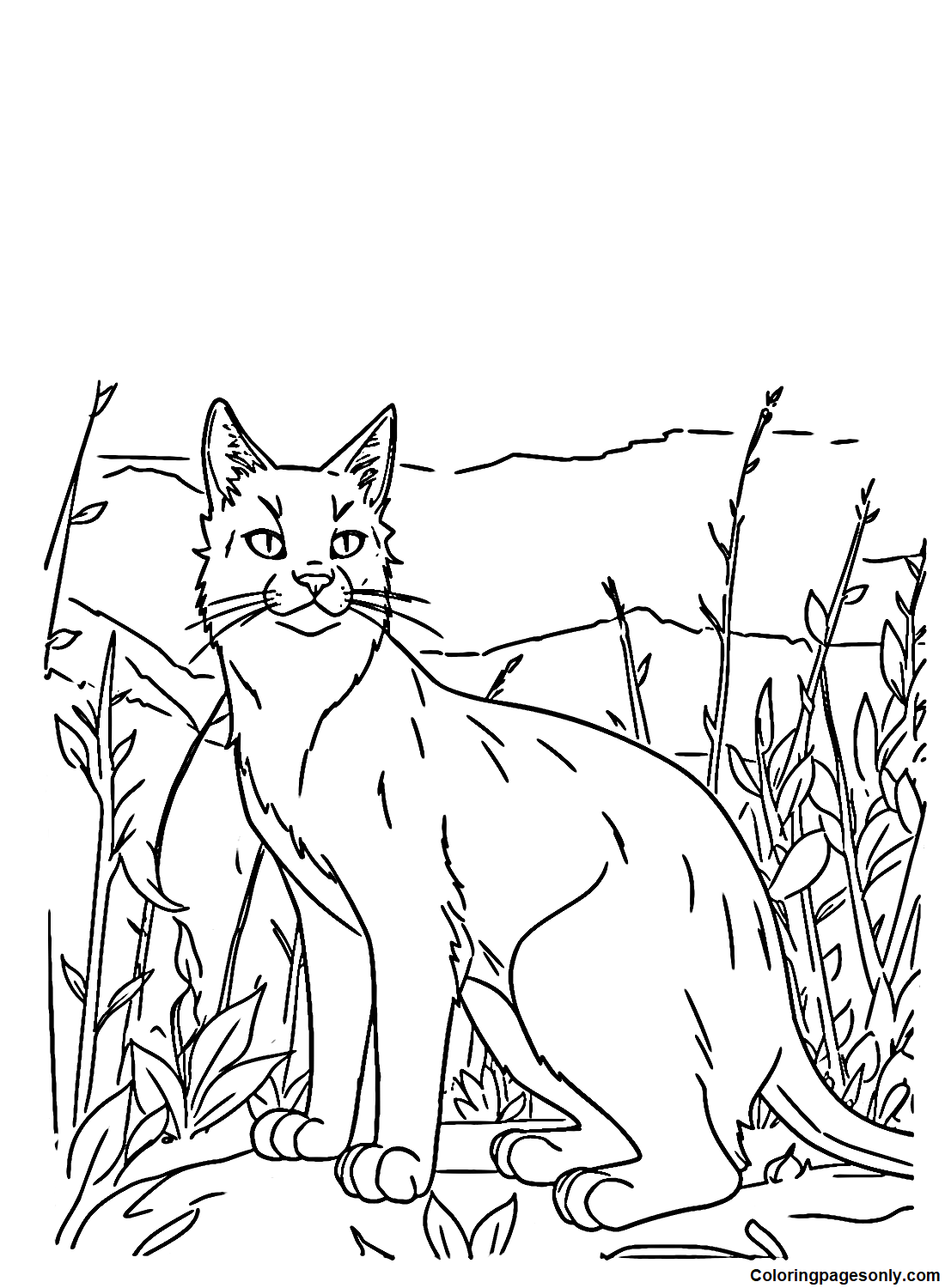 Warrior cats coloring pages printable for free download