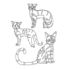 Top free printable warrior cats coloring pages online