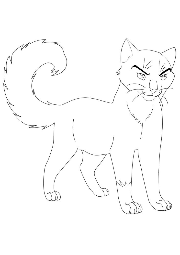 Cat warriors kitten leafpool coloring pages