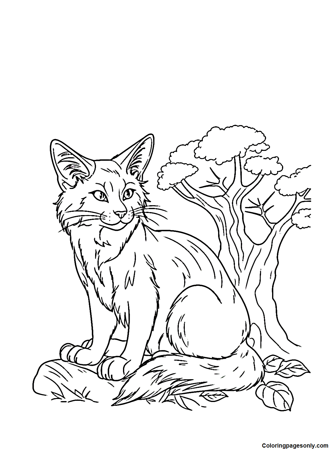 Warrior cats coloring pages printable for free download