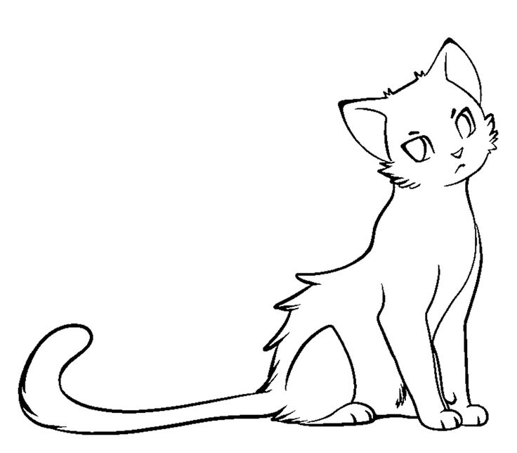 Coloring pages of warrior cats simple cat drawing cat coloring page cat drawing tutorial