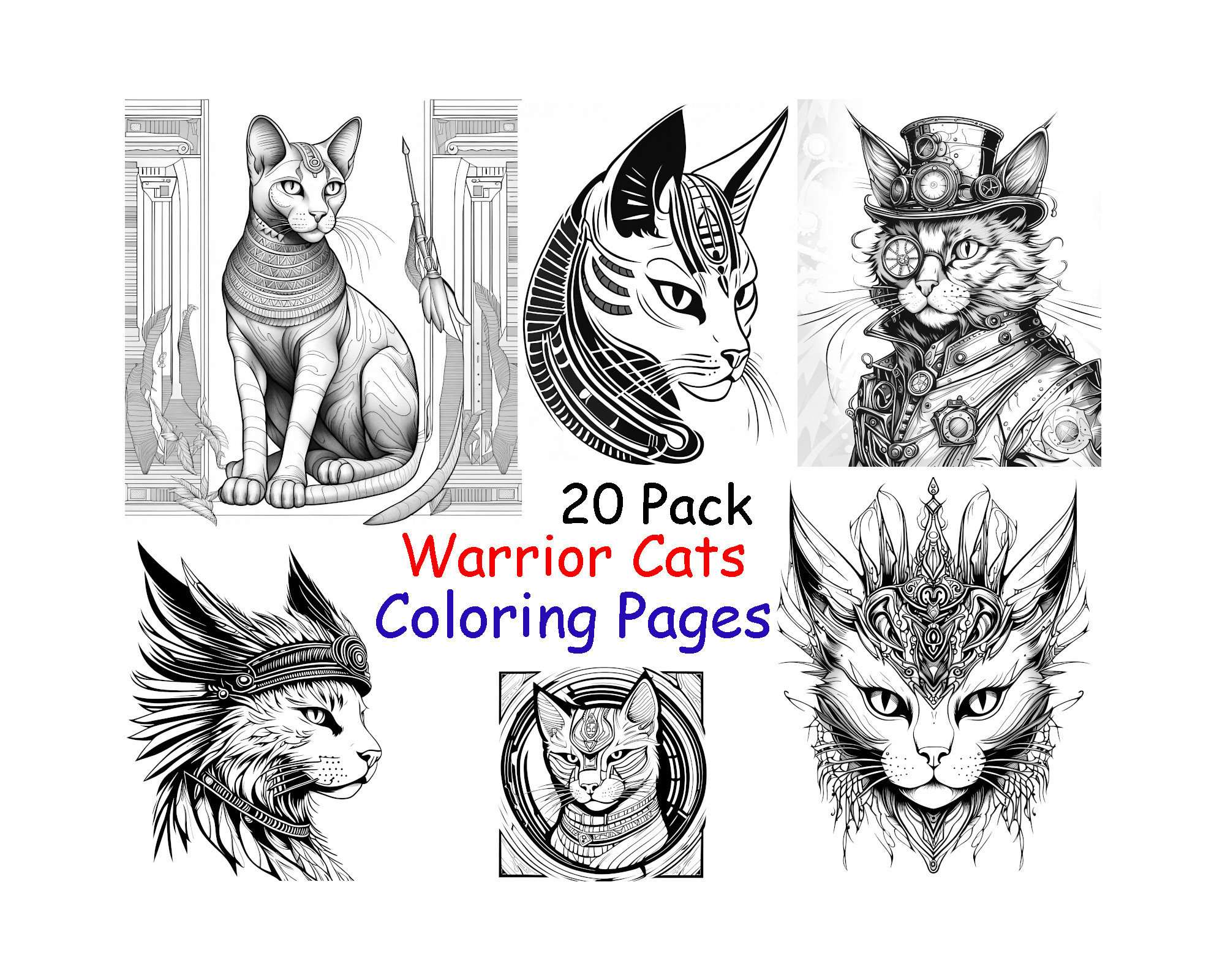 Cat warriors pack housecat hero coloring book pages delicately detailed instant digital download printable