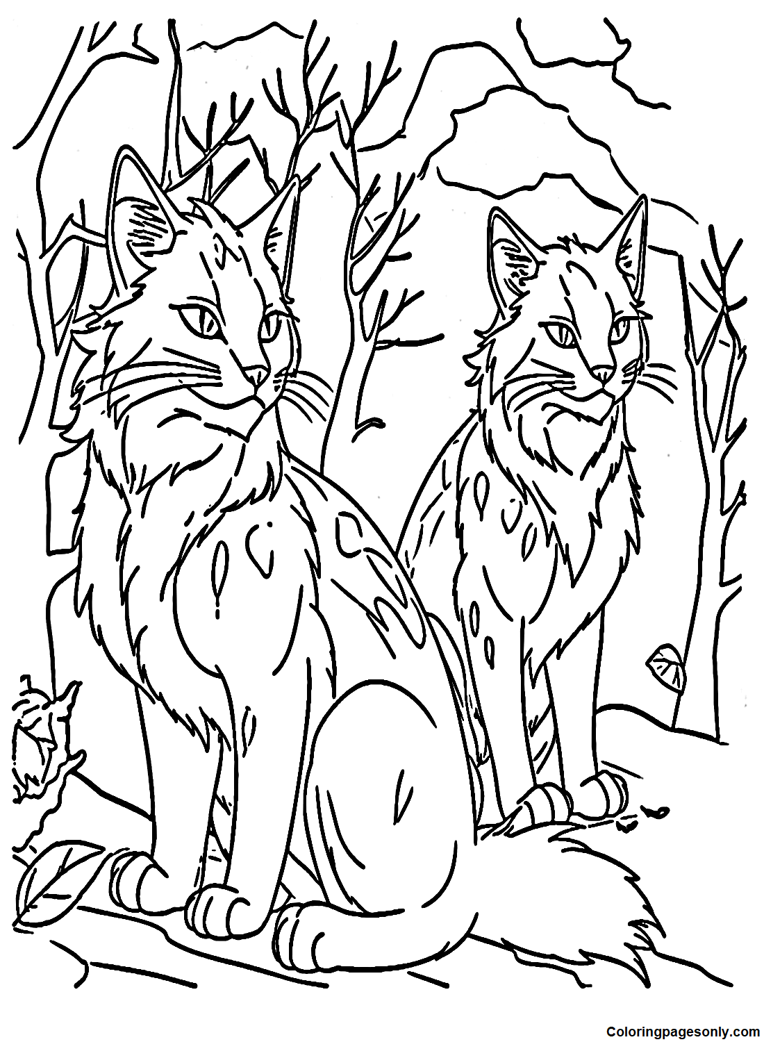 Warrior cats coloring pages printable for free download