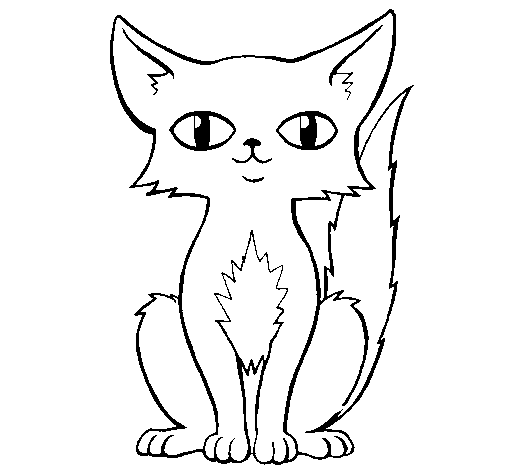 Persian cat coloring page