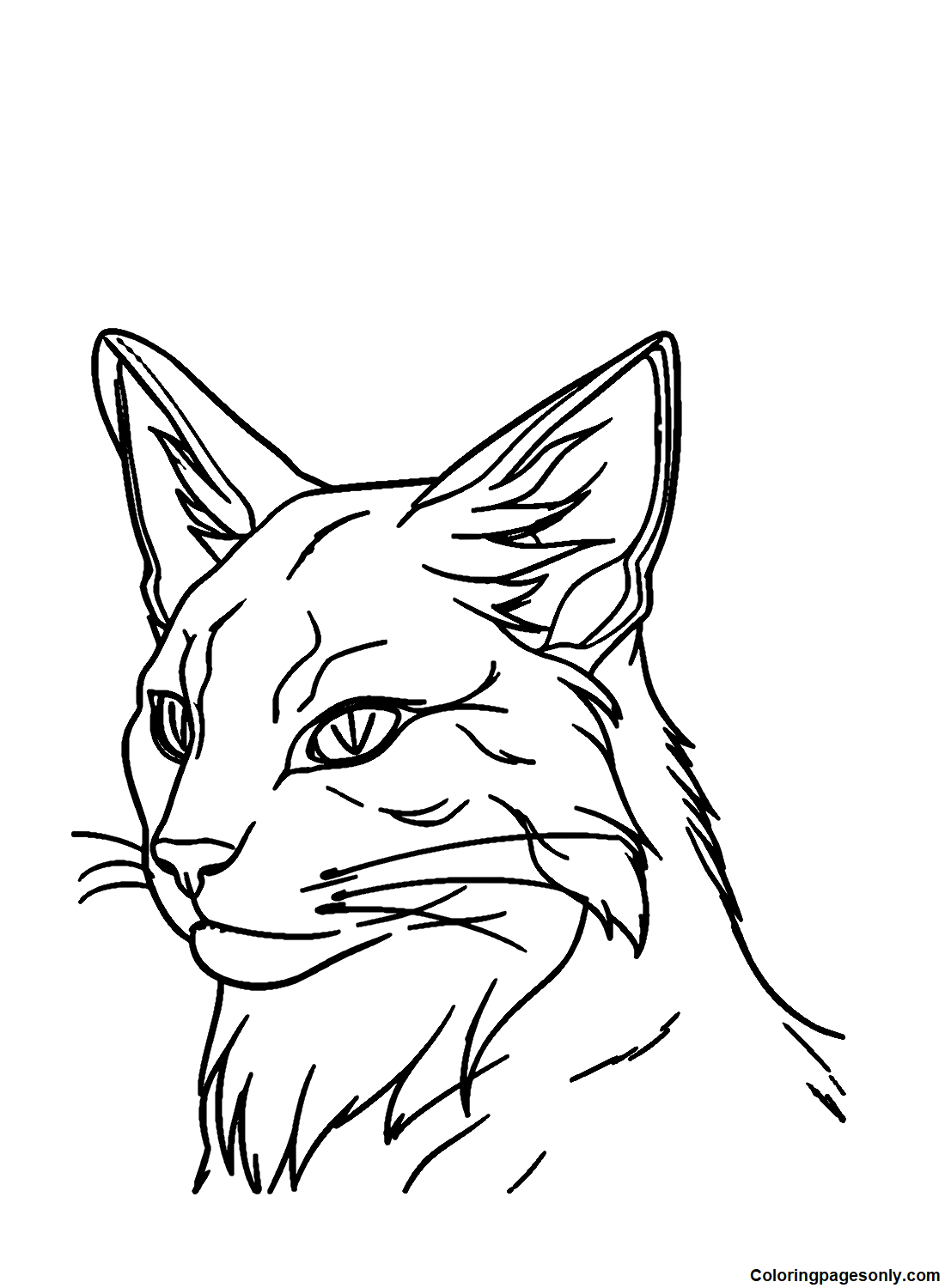 Warrior cats coloring pages