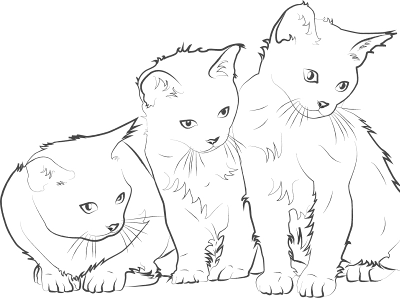 Kitty cat coloring page design for kids by md shah alam on