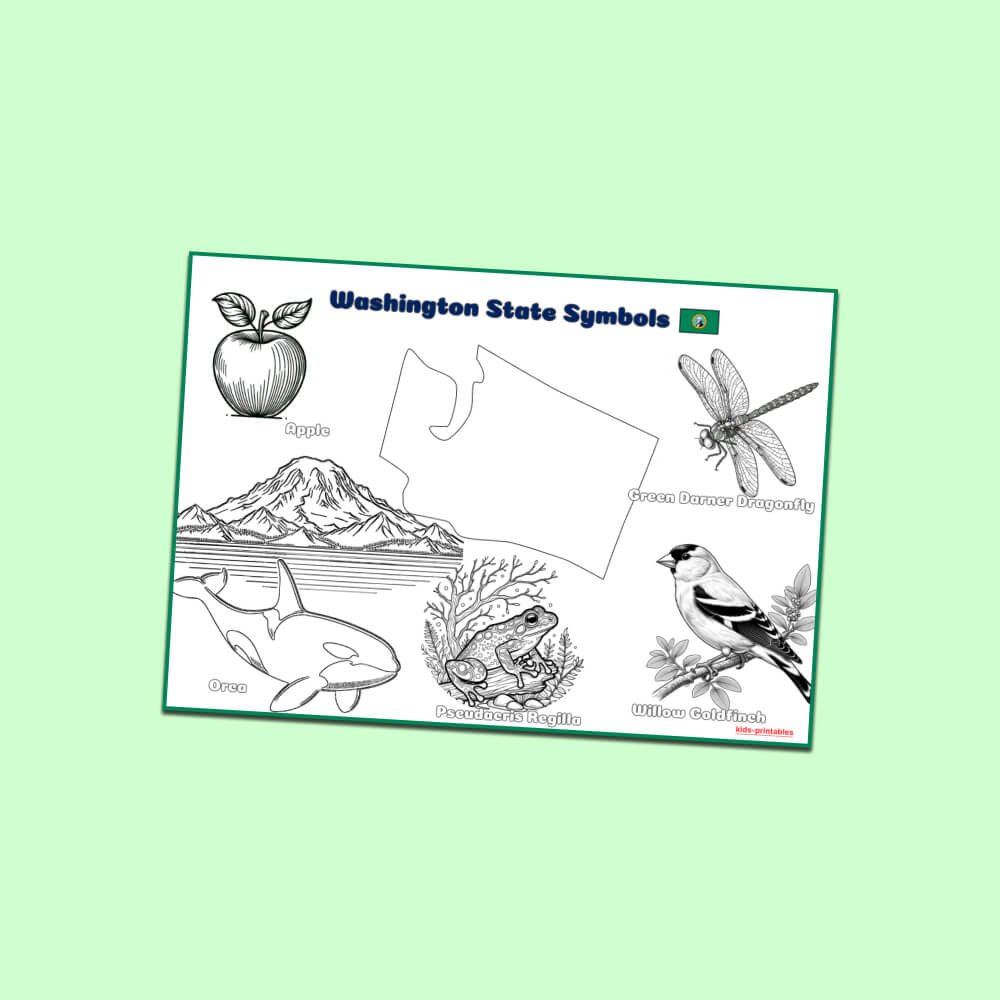 Washington state symbols coloring page kids