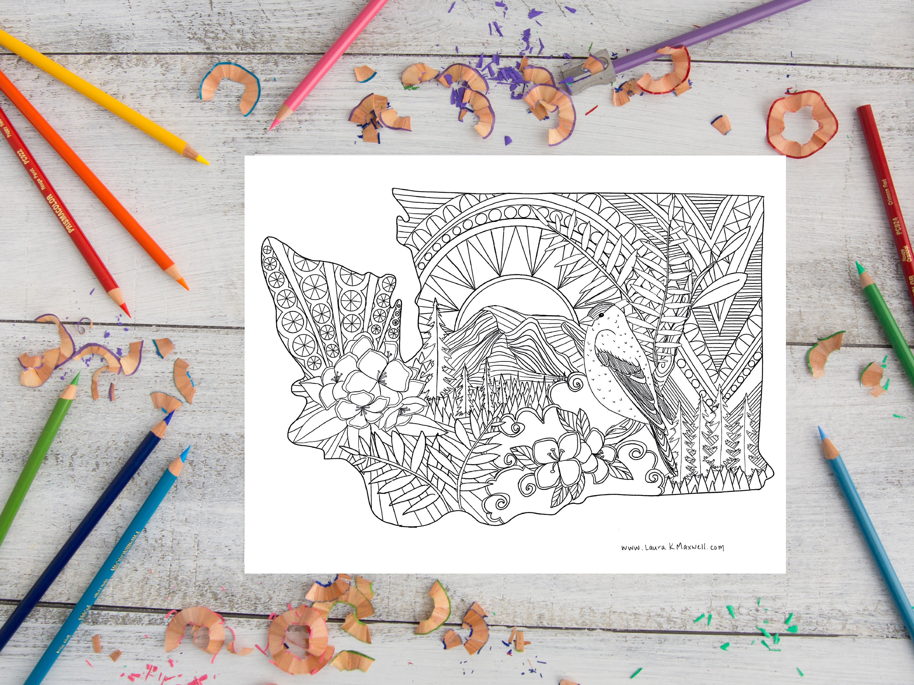 Washington coloring sheet for adults and kids x washington coloring page washington map instant download printable activity instant download