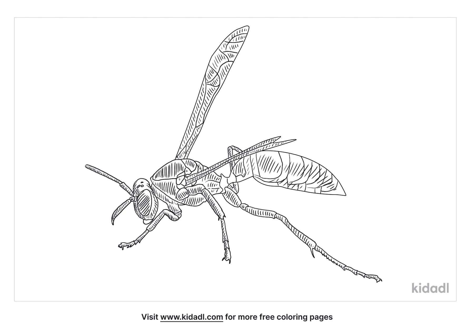 Free paper wasp coloring page coloring page printables