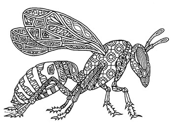 Hornet wasp insect zentangle coloring page by pamela kennedy tpt