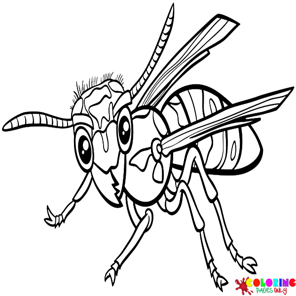 Wasp coloring pages