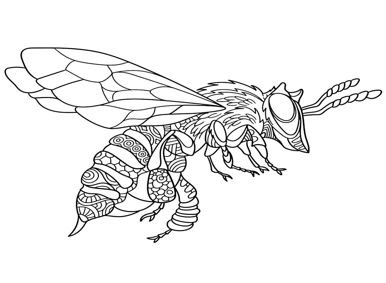 Wasp coloring pages