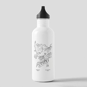 Coloring page water bottles