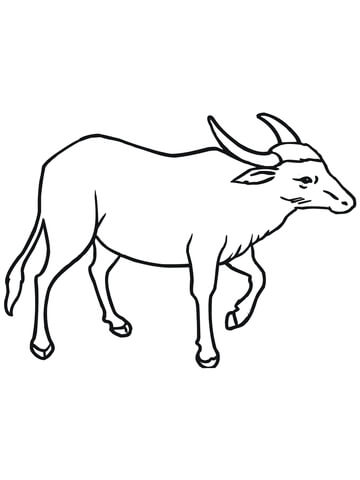 Wild asian water buffalo coloring page free printable coloring pages