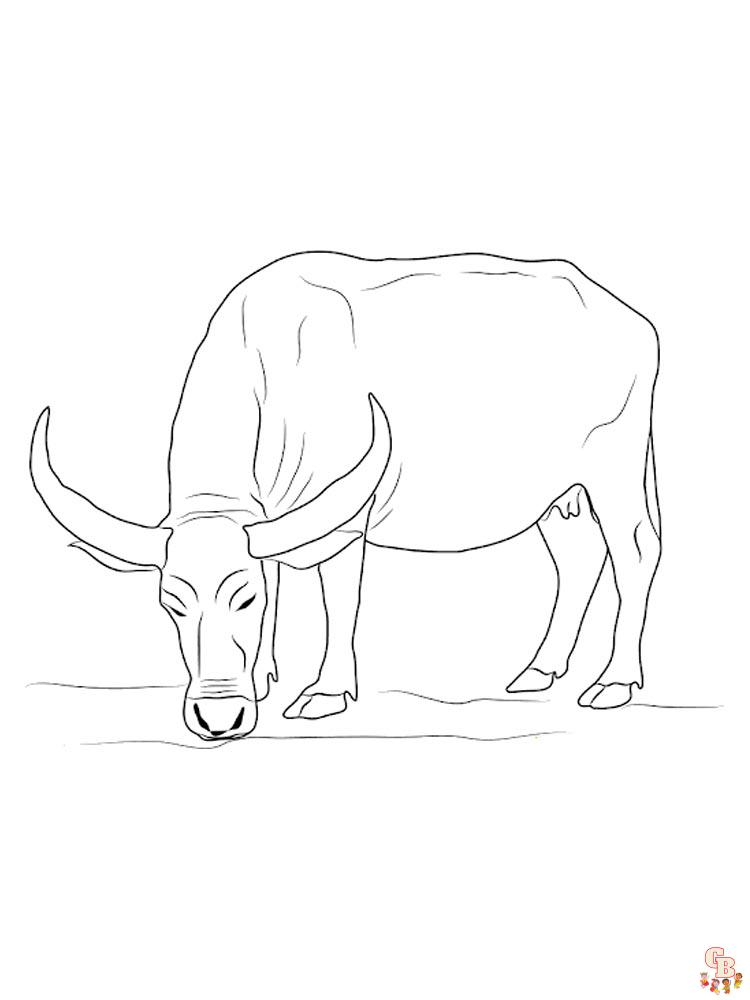 Discover buffalo with free printable coloring pages