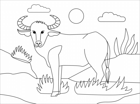 Water buffaloes coloring pages free coloring pages