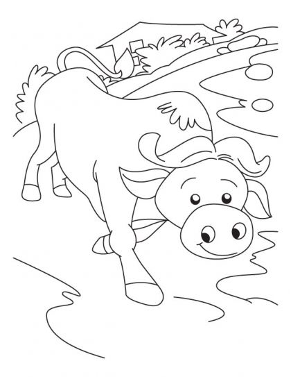 Top free printable buffalo coloring pages online coloring pages for boys coloring pages free coloring pages