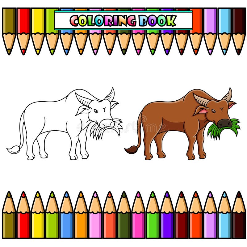 Coloring picture buffalo stock illustrations â coloring picture buffalo stock illustrations vectors clipart