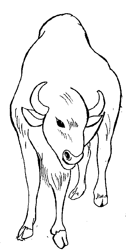 Water buffalo coloring page