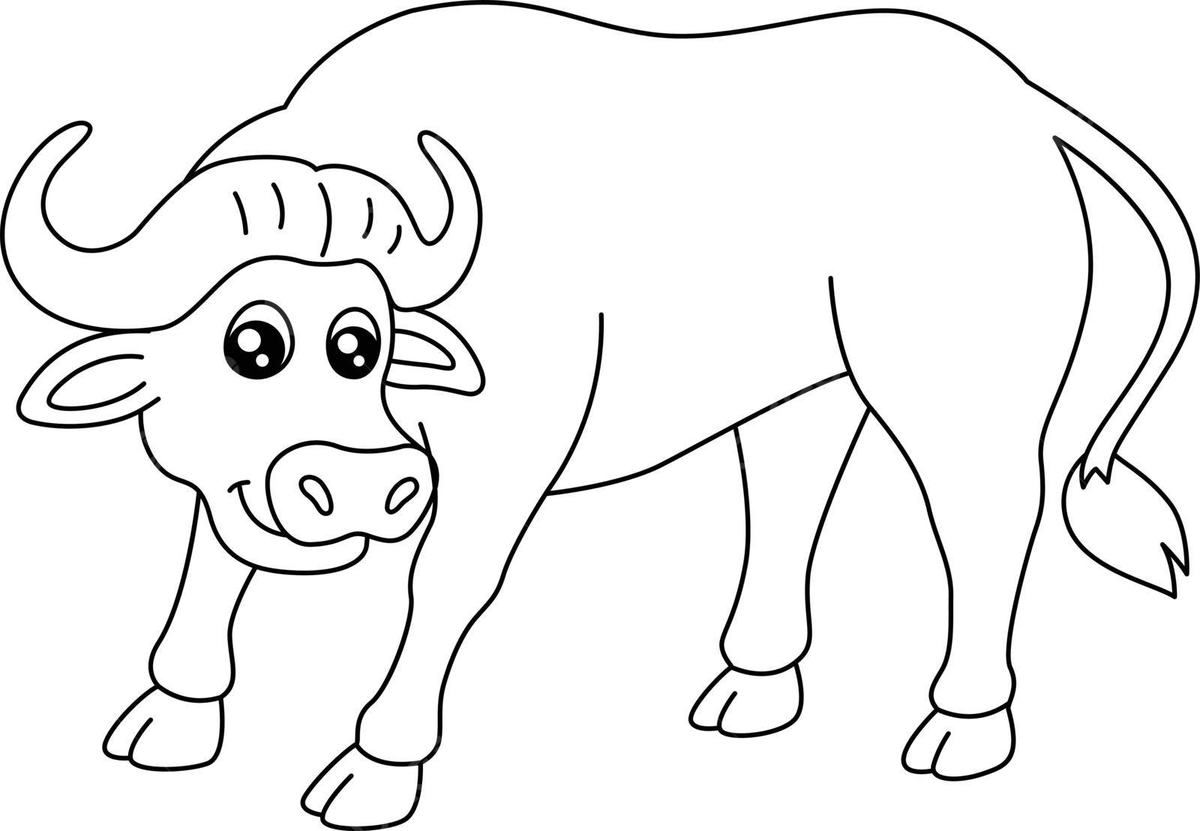 Buffalo coloring page isolated for kids vector coloring page clip art vector lip drawing buffalo drawing ring drawing png and vector with transparent background for free download