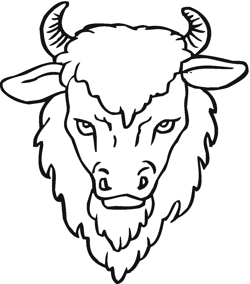 Free buffalo and bison coloring pages