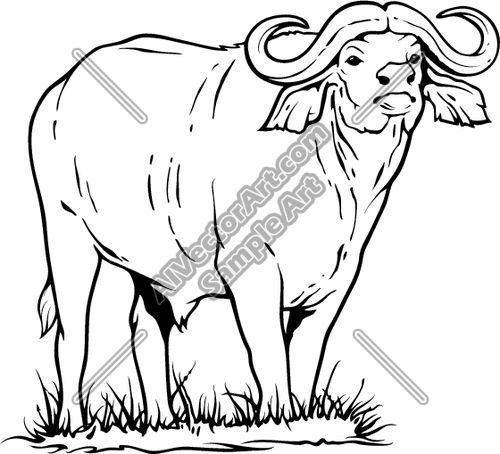 Water buffalo standing in grass clipart and vectorart animals