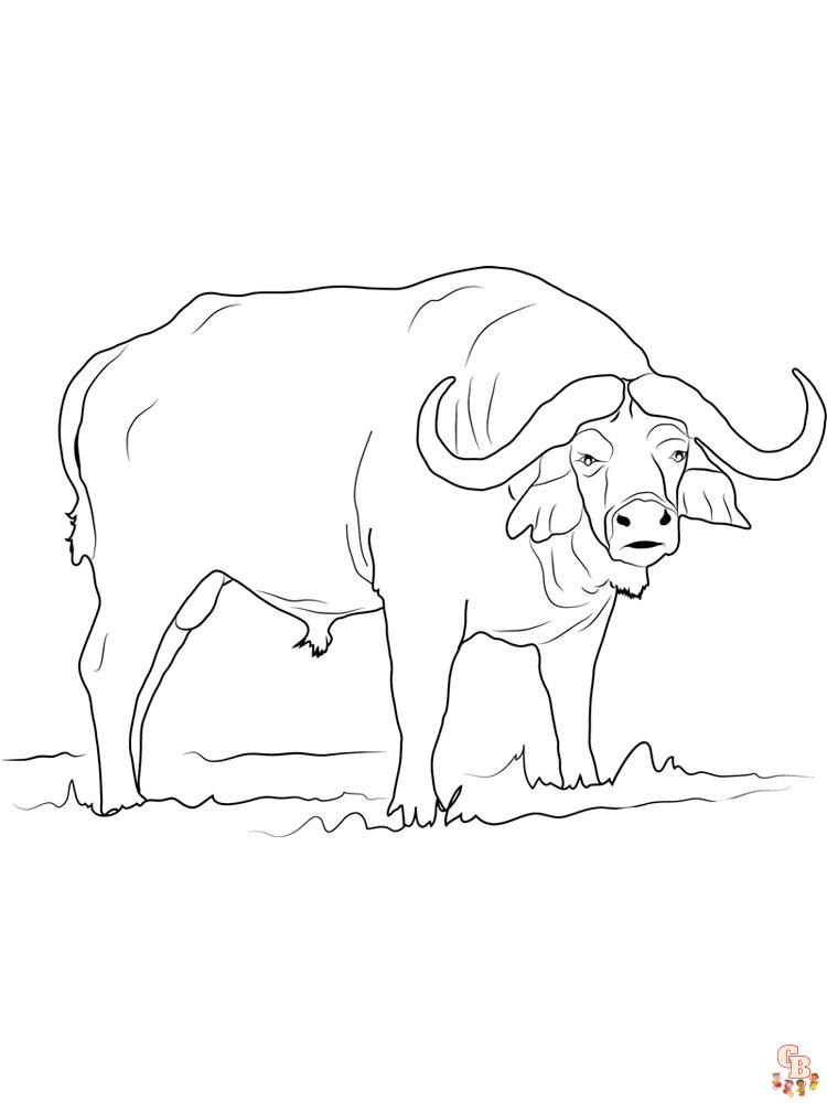 Discover buffalo with free printable coloring pages