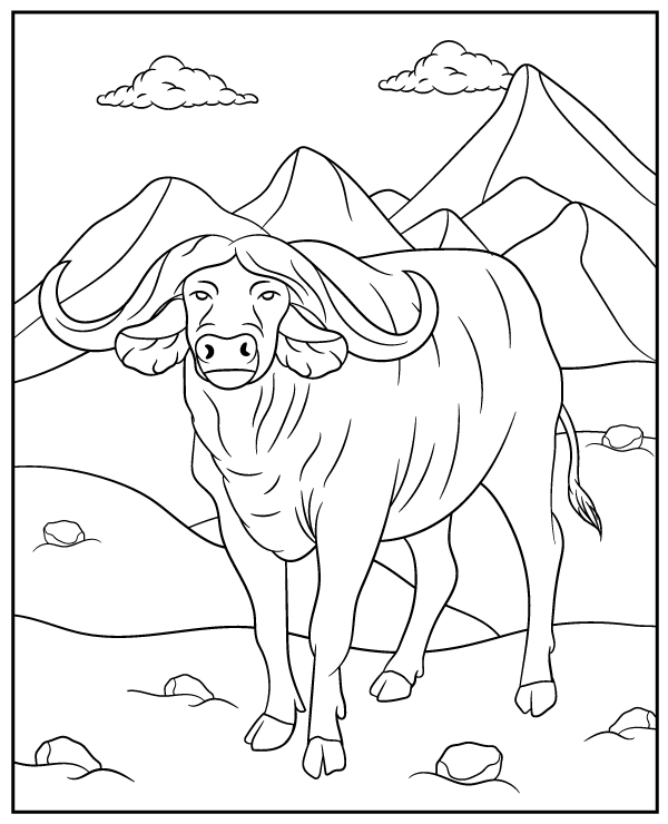 African buffalo coloring page bovid