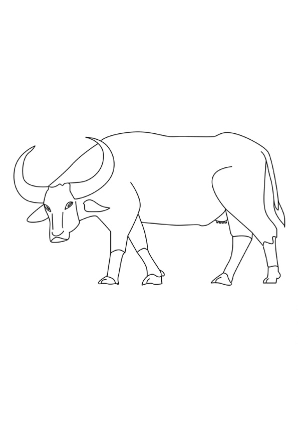 Coloring pages printable buffalo coloring page