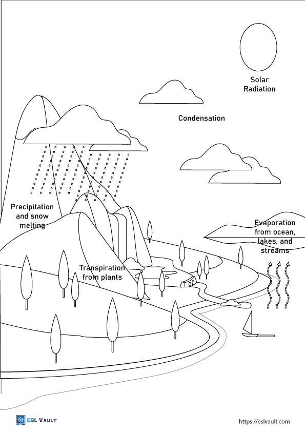 Free water cycle coloring pages and diagrams