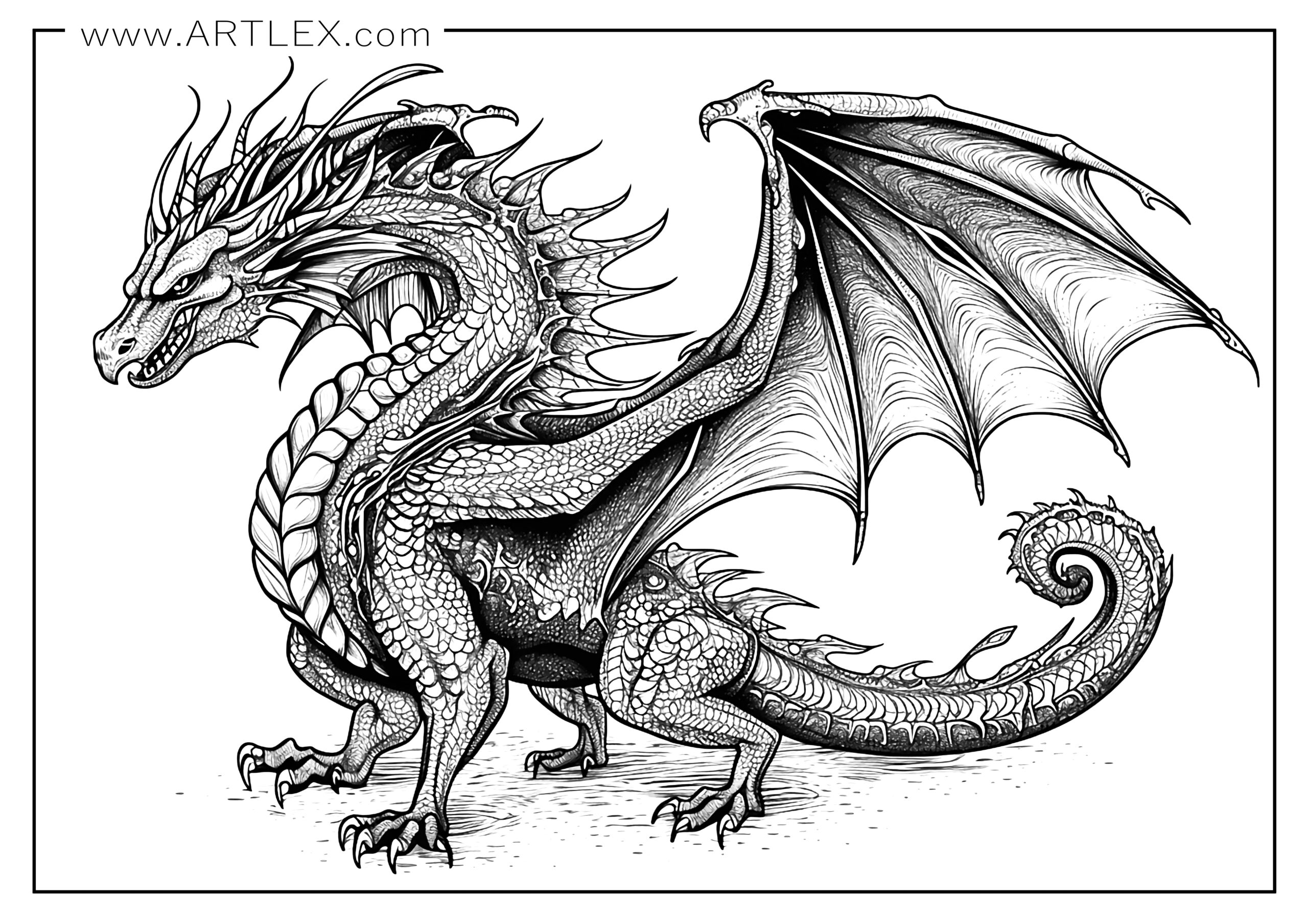 Free dragon coloring pages free printable â