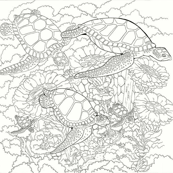 Legendary worlds adult coloring book turtle coloring pages coloring books coloring pages