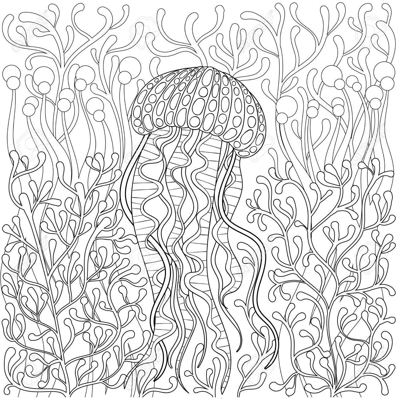 Jellyfish medusa in style hand drawn sea animal in water among seaweed for adult antistress coloring page book art therapy illustration monochrome sketch t