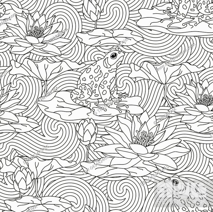 Adult antistress coloring page with water lily and the frog