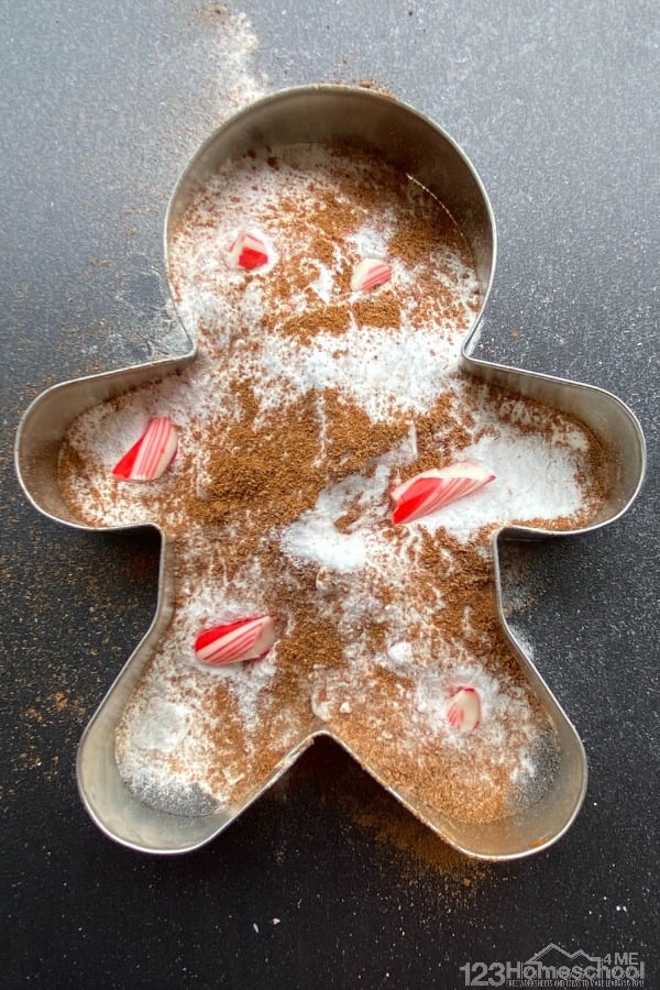 Fizzy gingerbread man christmas science experiment