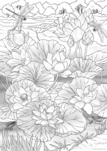 Water lilies â favoreads coloring club