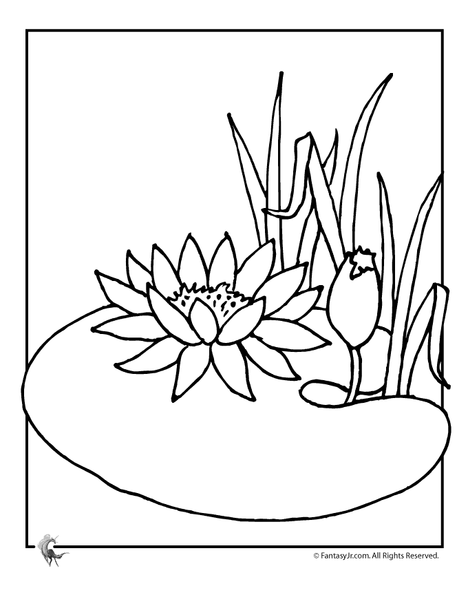 Fantasy jr water lily flower coloring page flower coloring pages coloring pages flower drawing